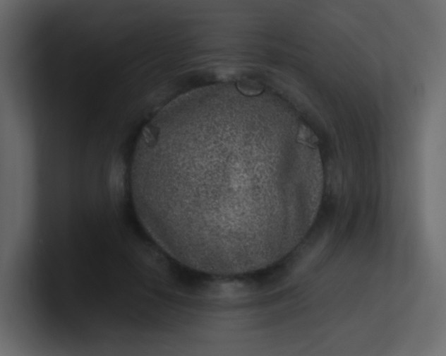 X0000101110650200807101510