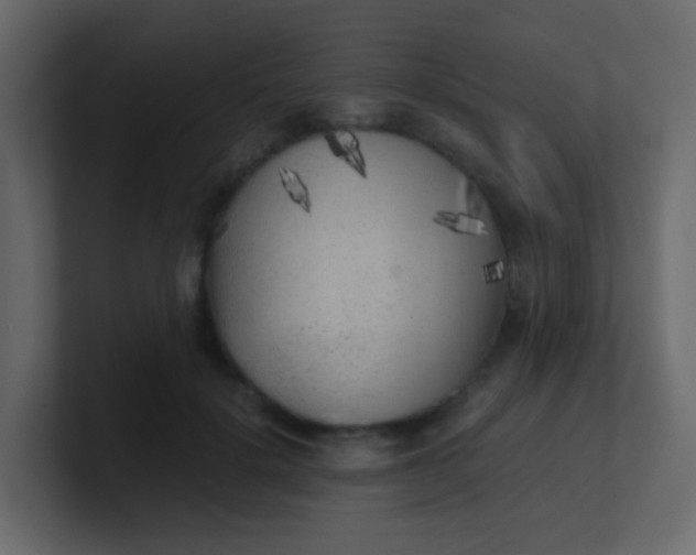 X0000101110652200807101510
