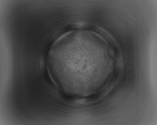 X0000101110653200807101510