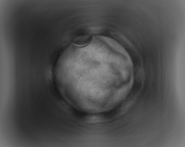 X0000101110655200807101510
