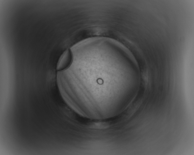 X0000101110657200807101510