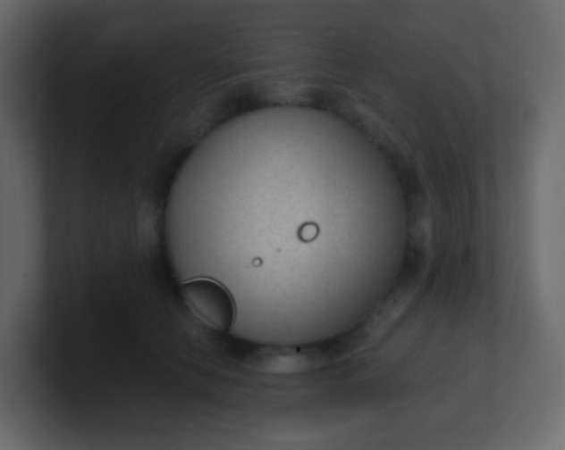 X0000101110658200807101510