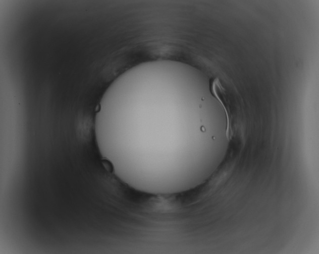 X0000101110660200807101510