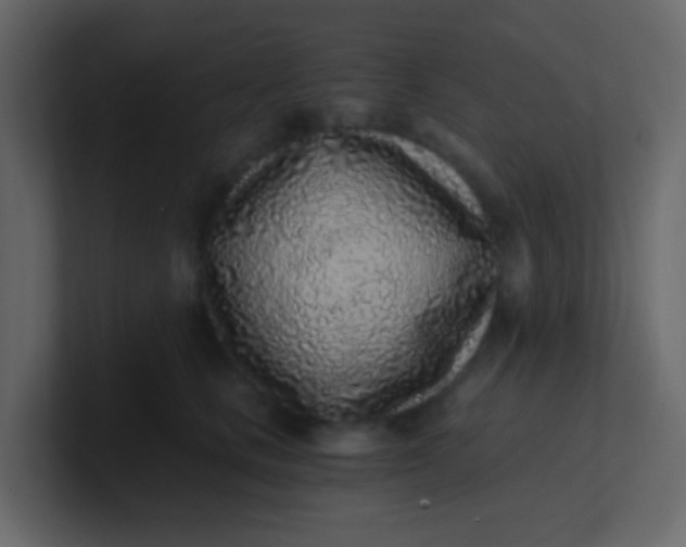 X0000101110661200807101510
