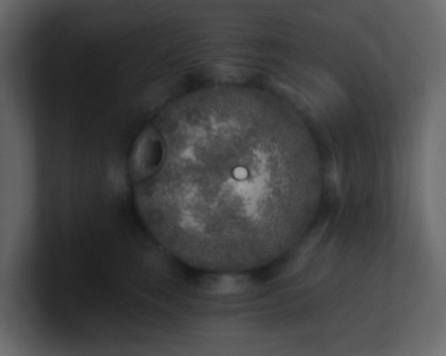 X0000101110663200807101510
