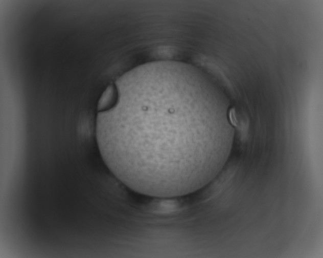 X0000101110665200807101510