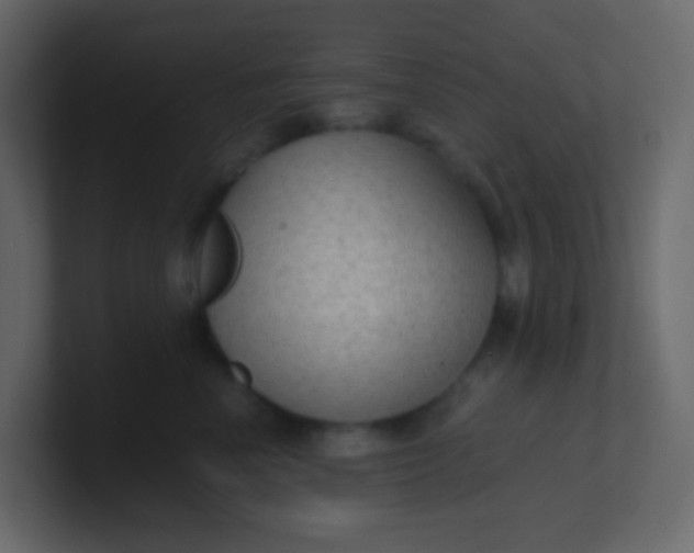 X0000101110666200807101510