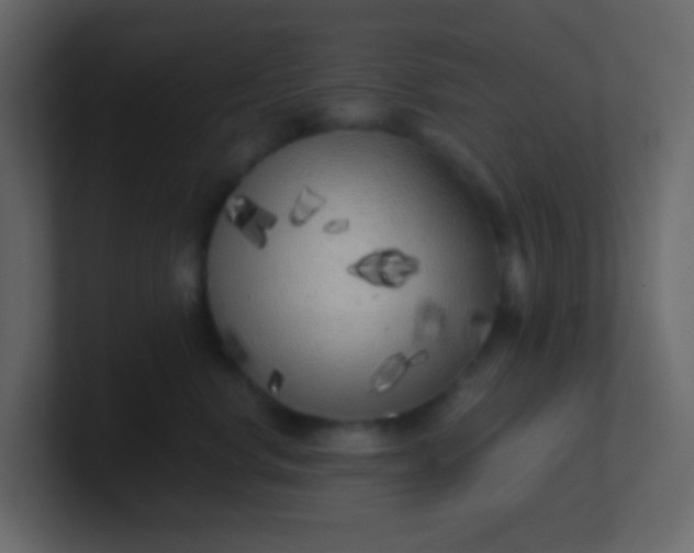 X0000101110668200807101510