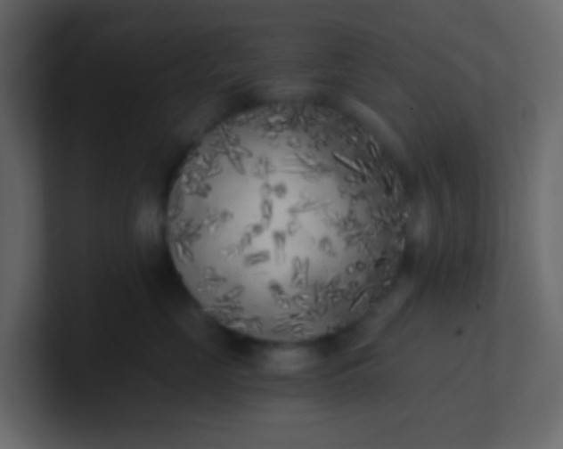 X0000101110669200807101510