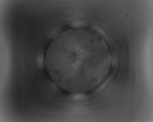 X0000101110670200807101510