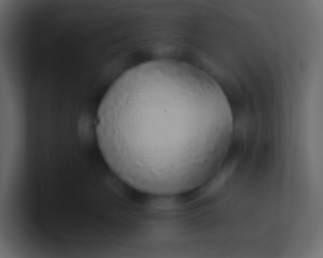 X0000101110671200807101510