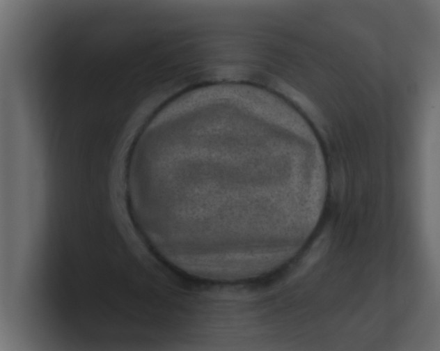 X0000101110673200807101510