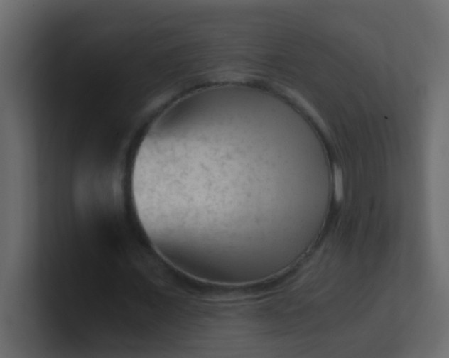 X0000101110675200807101510