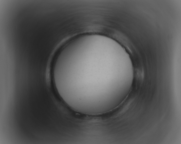 X0000101110676200807101510