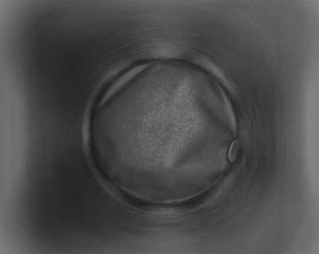 X0000101110677200807101510
