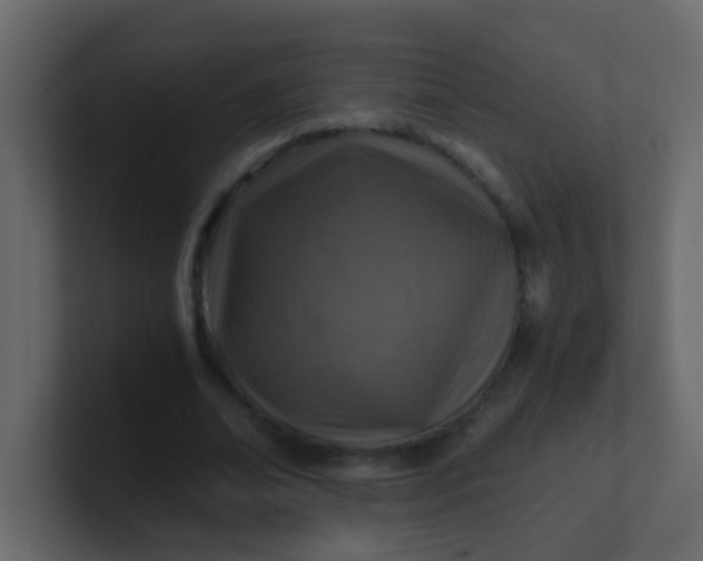 X0000101110678200807101510