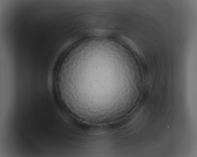 X0000101110679200807101510