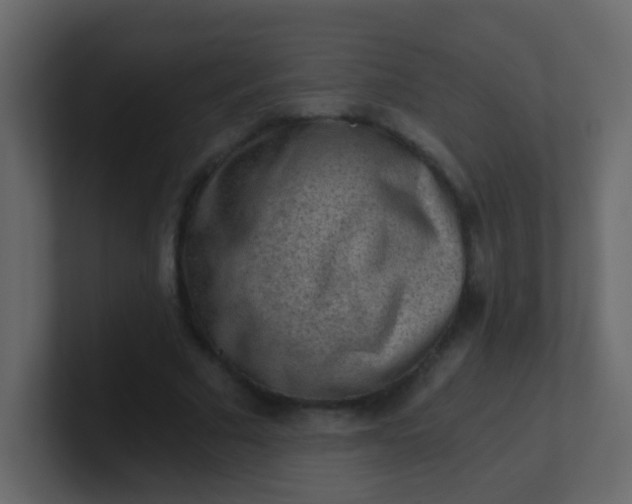 X0000101110681200807101509