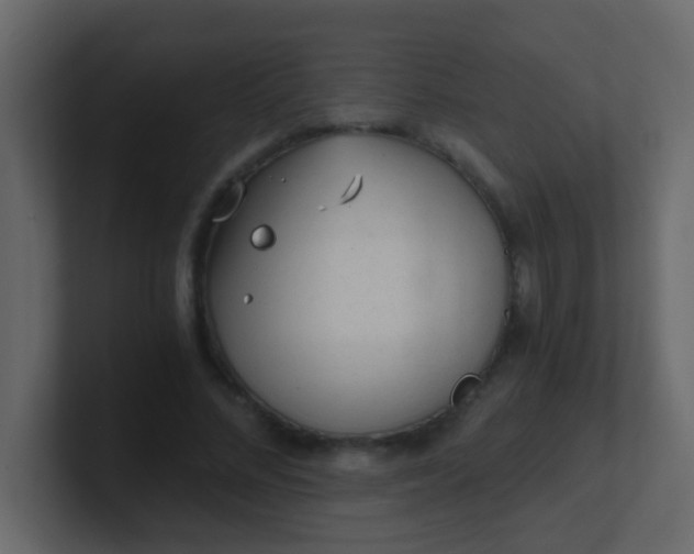 X0000101110684200807101509