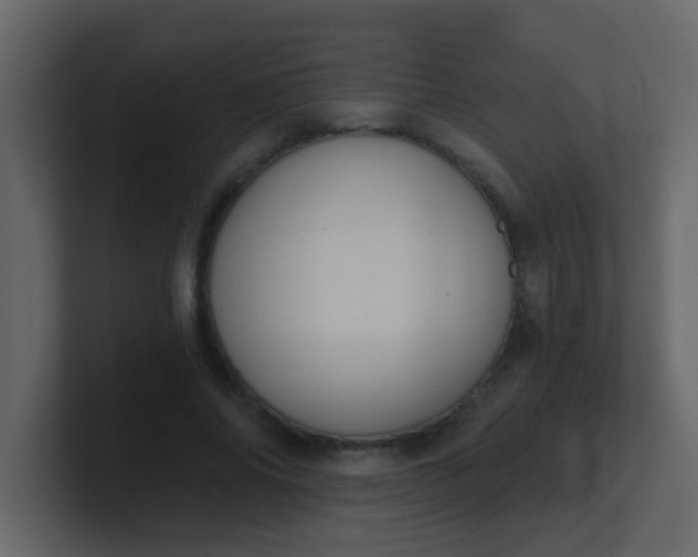 X0000101110686200807101509