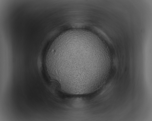 X0000101110687200807101509