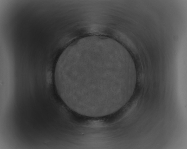 X0000101110689200807101509
