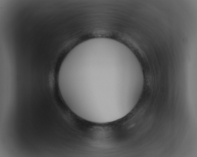 X0000101110690200807101509