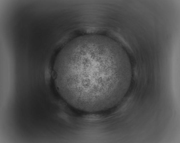 X0000101110691200807101509
