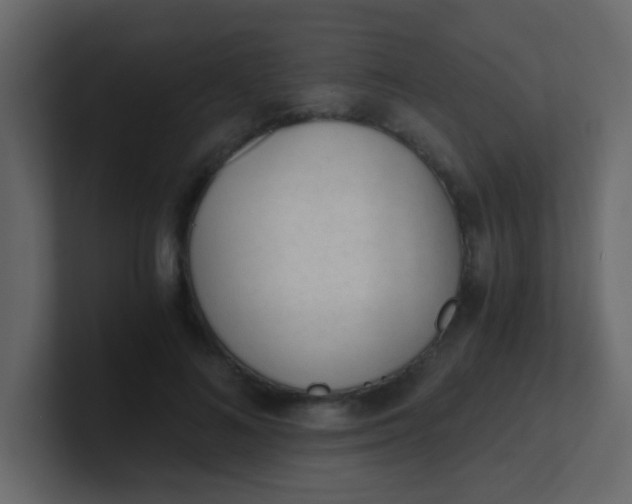 X0000101110692200807101509