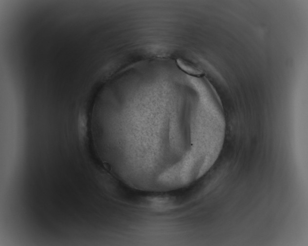 X0000101110693200807101509