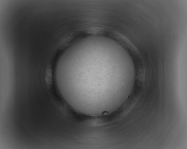 X0000101110696200807101509