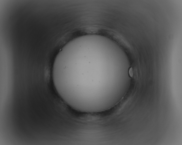 X0000101110697200807101509
