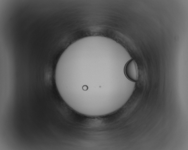 X0000101110698200807101509