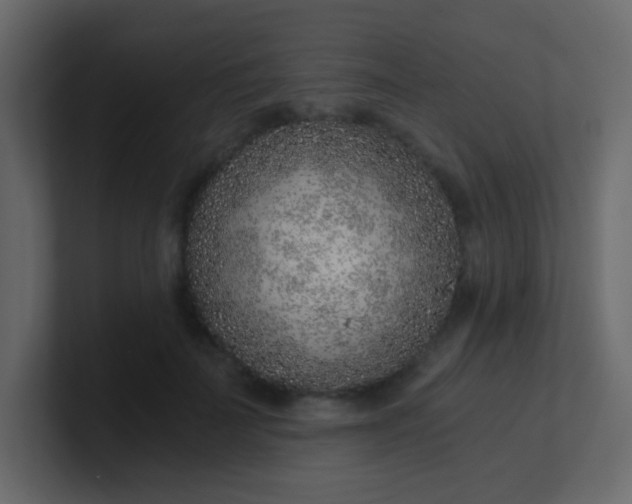 X0000101110699200807101509