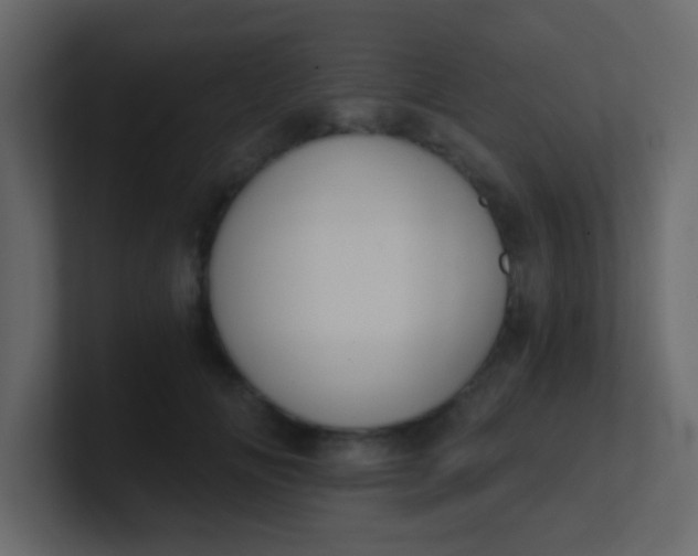 X0000101110702200807101509