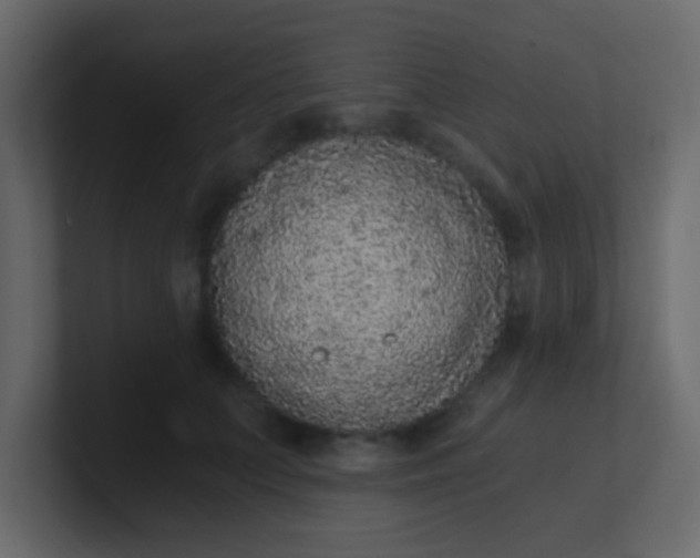 X0000101110703200807101509