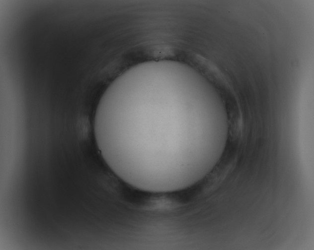 X0000101110704200807101509