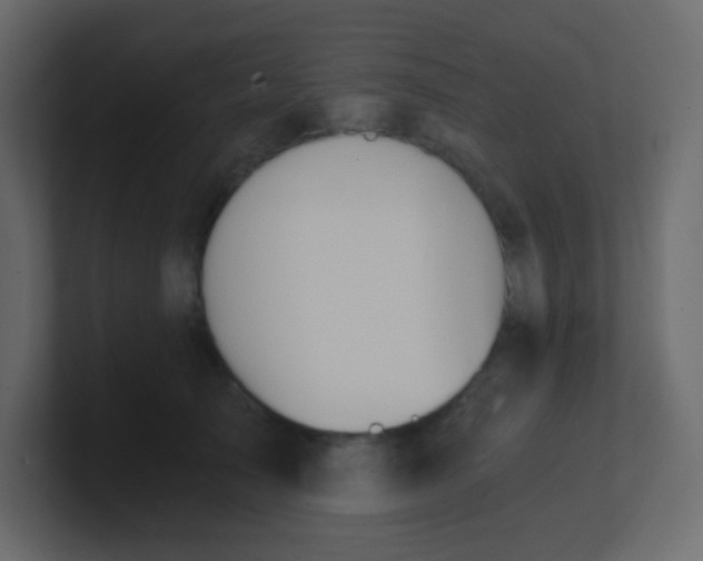 X0000101110705200807101509