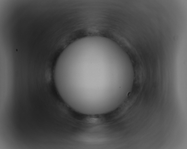 X0000101110706200807101509