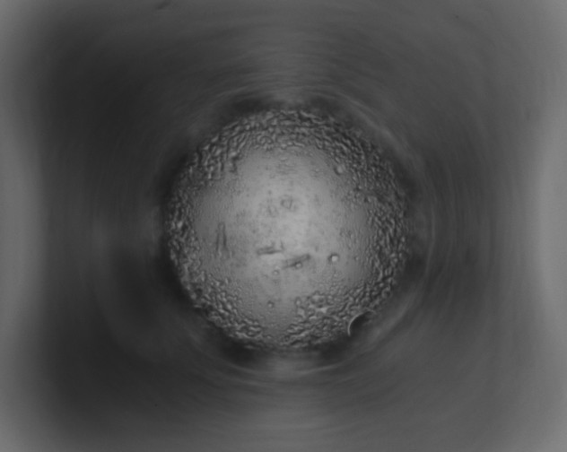 X0000101110707200807101509