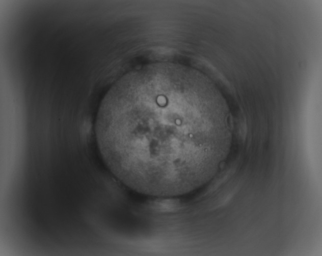 X0000101110711200807101509