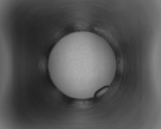 X0000101110712200807101509