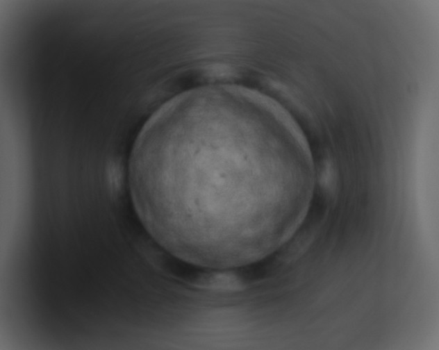 X0000101110715200807101509