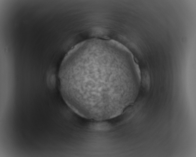 X0000101110716200807101509