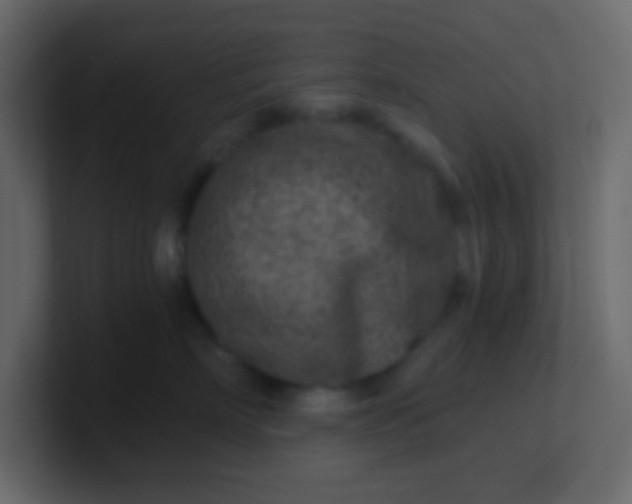 X0000101110718200807101509