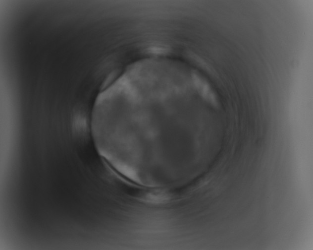 X0000101110720200807101509