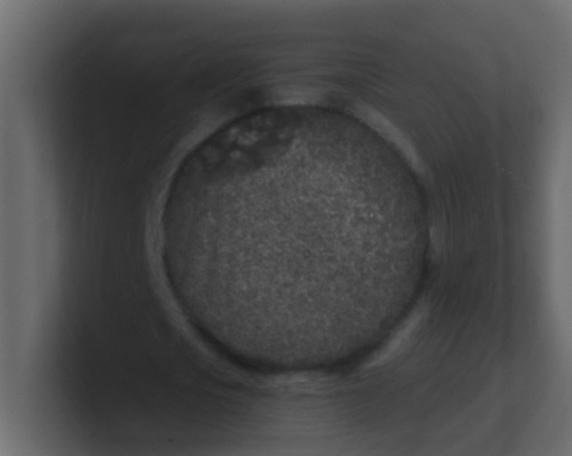 X0000101110721200807101508