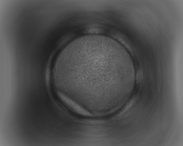 X0000101110722200807101508