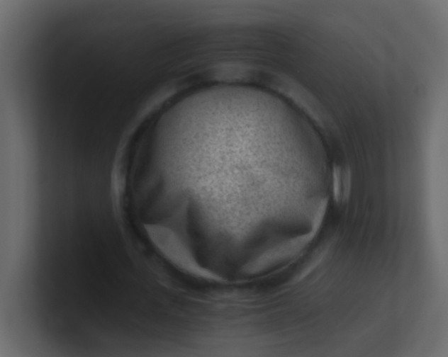 X0000101110723200807101508