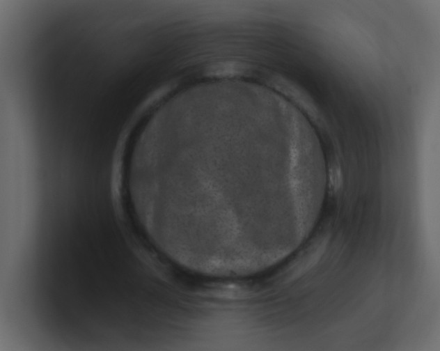 X0000101110724200807101508